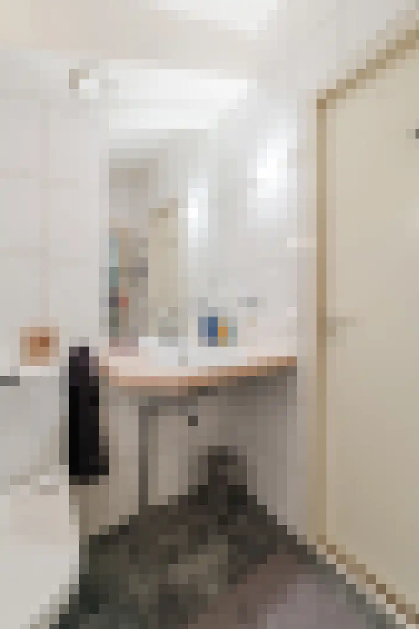Nieuwe Parklaan 1 Vlagtwedde thumbnail 44