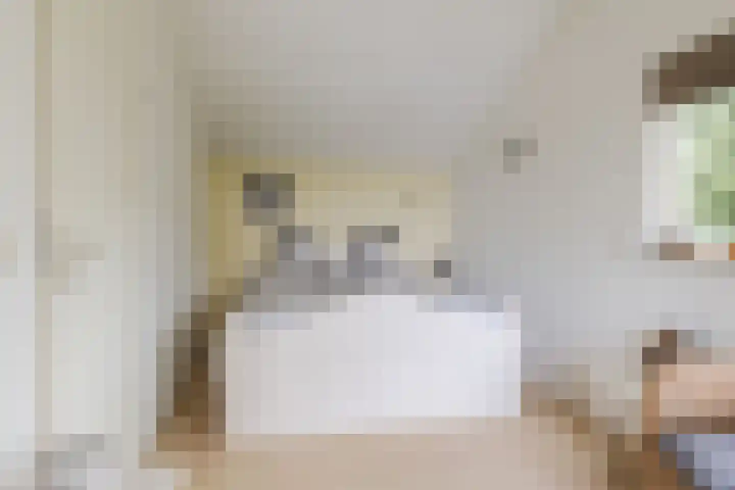 Nieuwe Parklaan 1 Vlagtwedde thumbnail 45