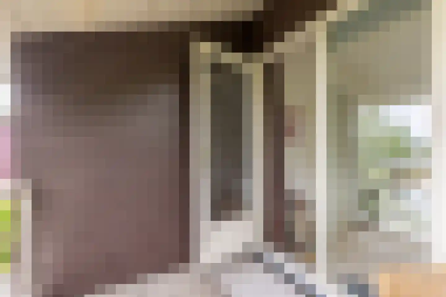 Nieuwe Parklaan 1 Vlagtwedde thumbnail 47