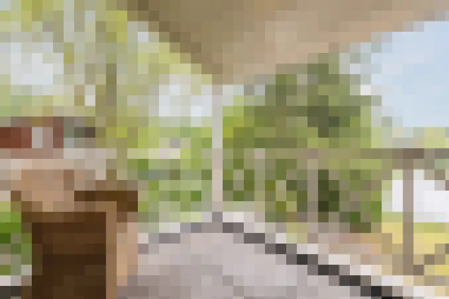 Nieuwe Parklaan 1 Vlagtwedde thumbnail 48