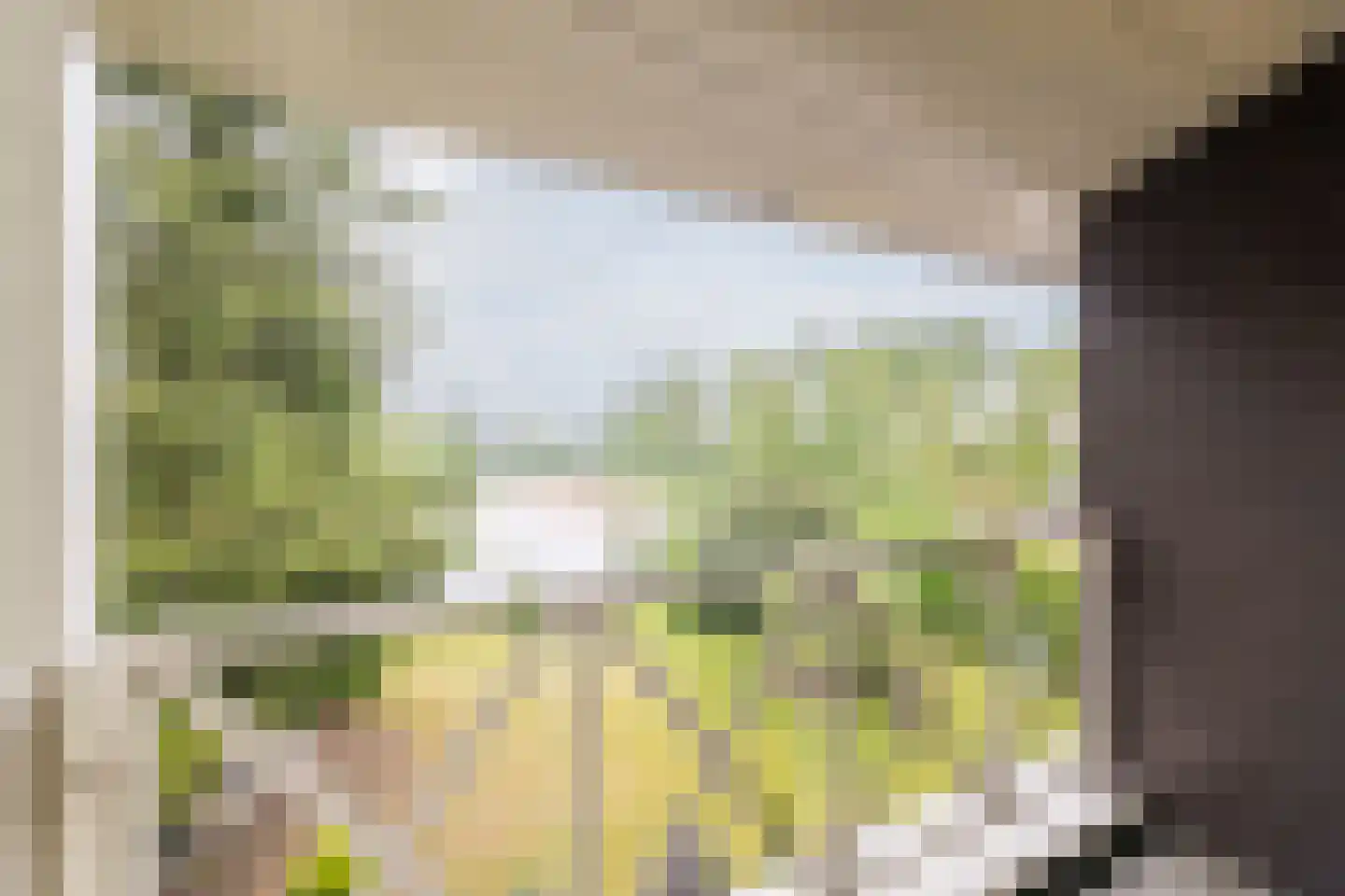 Nieuwe Parklaan 1 Vlagtwedde thumbnail 49