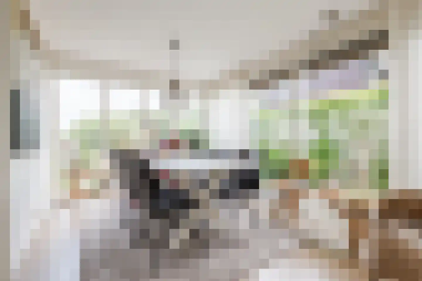 Nieuwe Parklaan 1 Vlagtwedde thumbnail 5