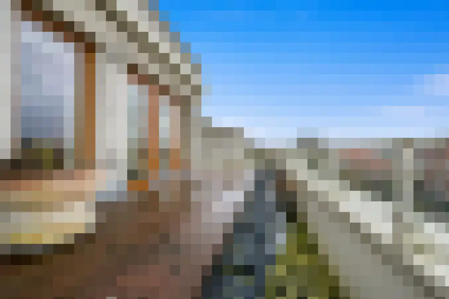 Nieuwe Parklaan 101 C Den Haag thumbnail 14