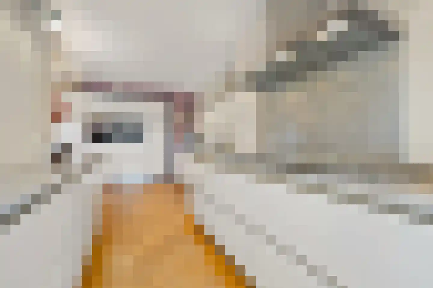 Nieuwe Parklaan 101 C Den Haag thumbnail 17