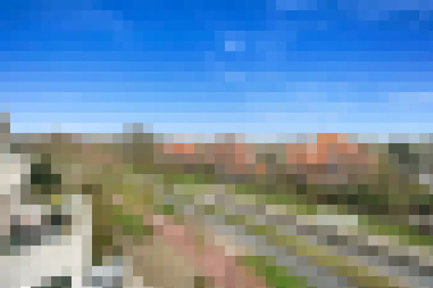 Nieuwe Parklaan 101 C Den Haag thumbnail 46