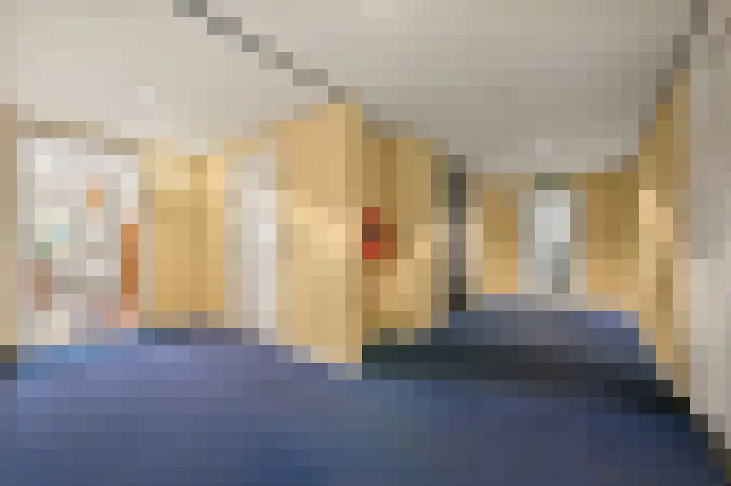 Nieuwe Parklaan 101 C Den Haag thumbnail 9