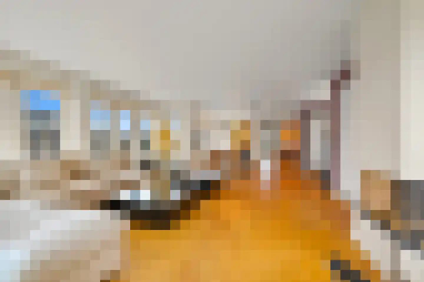 Nieuwe Parklaan 101 E Den Haag thumbnail 11