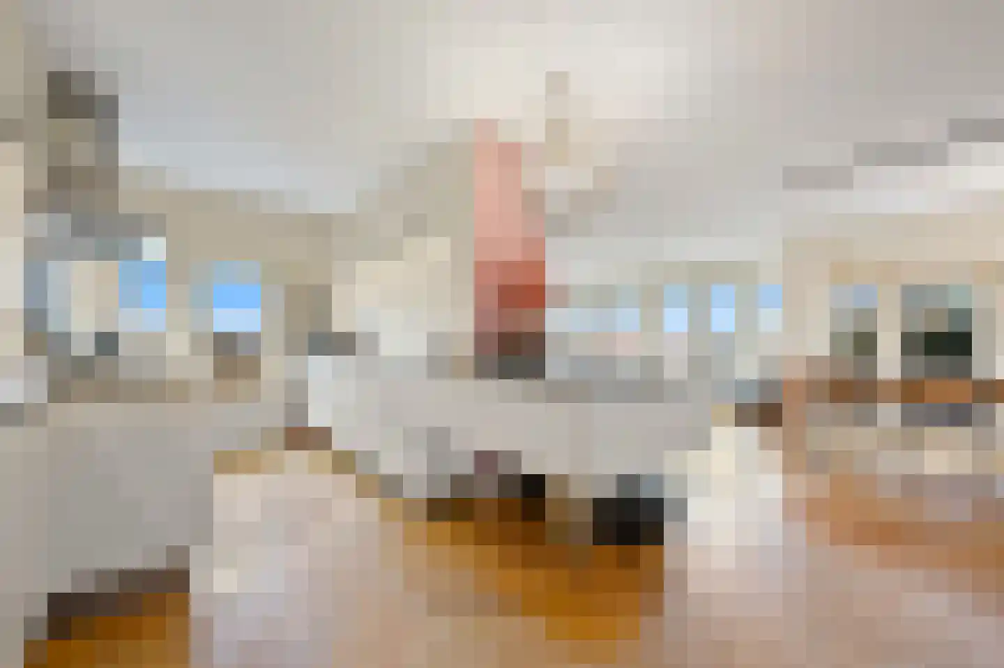 Nieuwe Parklaan 101 E Den Haag thumbnail 16
