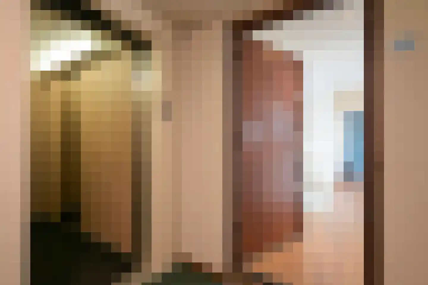 Nieuwe Parklaan 14 Den Haag thumbnail 11