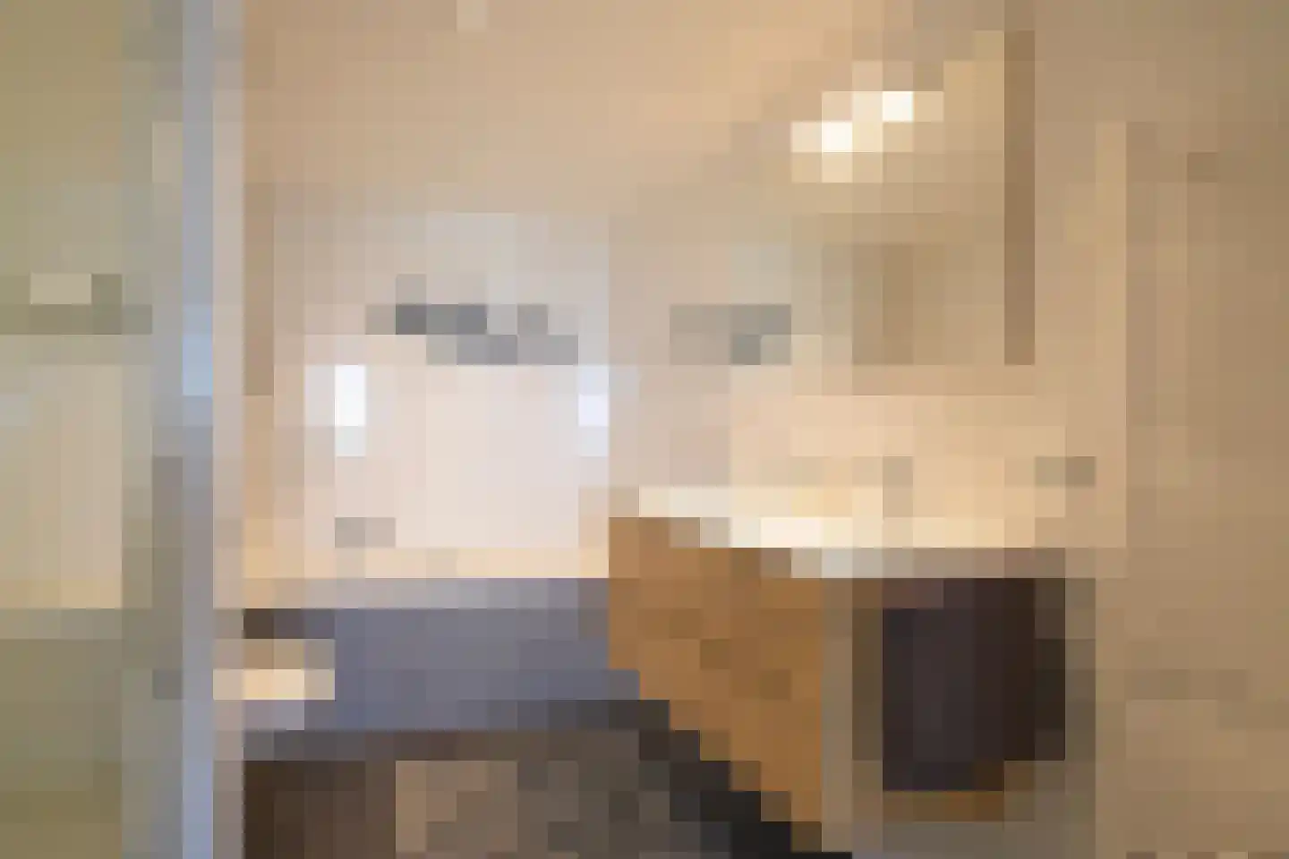 Nieuwe Parklaan 14 Den Haag thumbnail 22