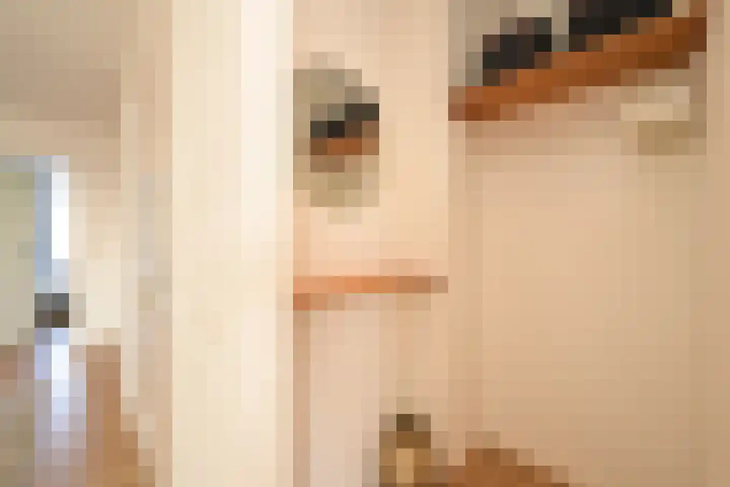 Nieuwe Parklaan 14 Den Haag thumbnail 25