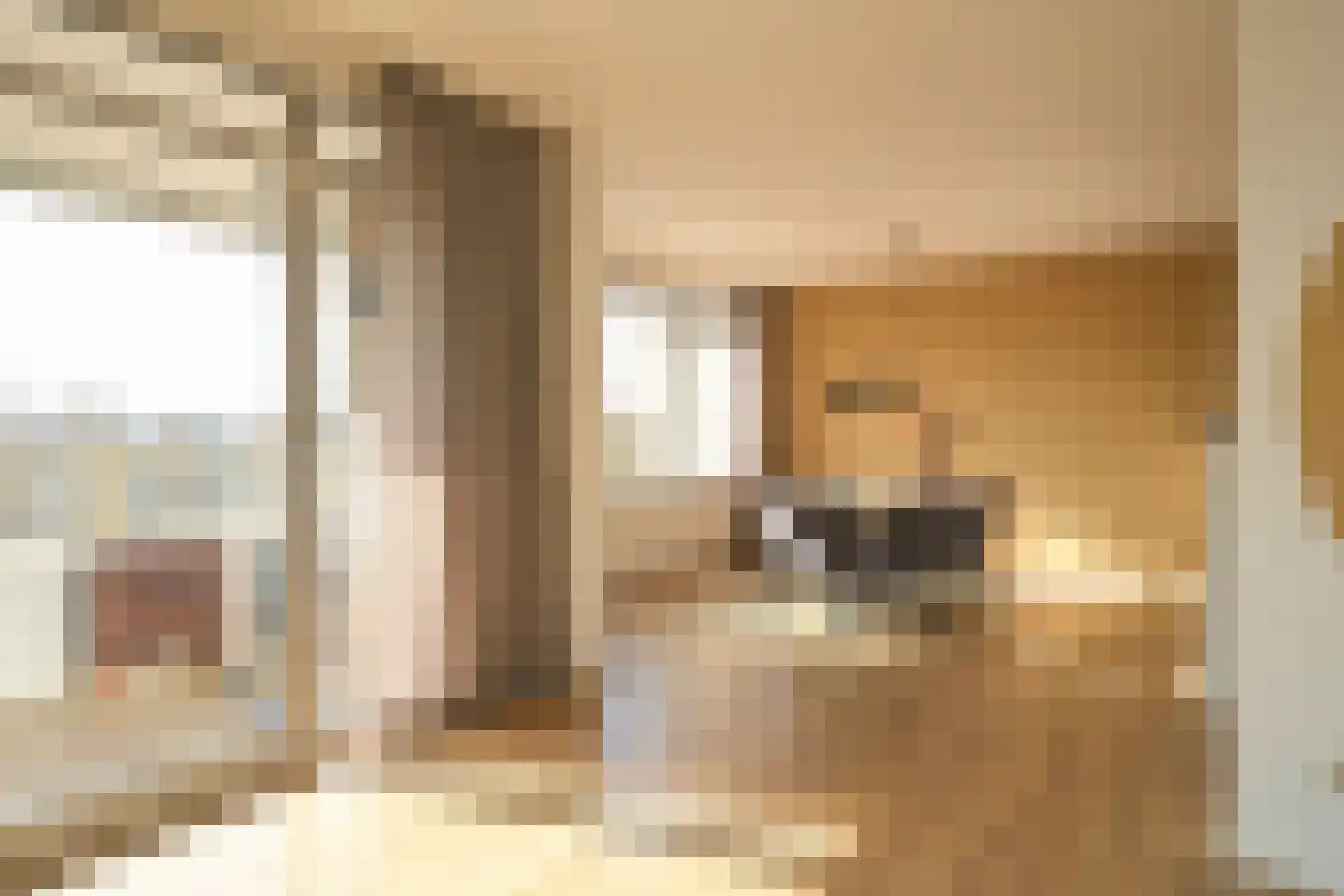 Nieuwe Parklaan 14 Den Haag thumbnail 32