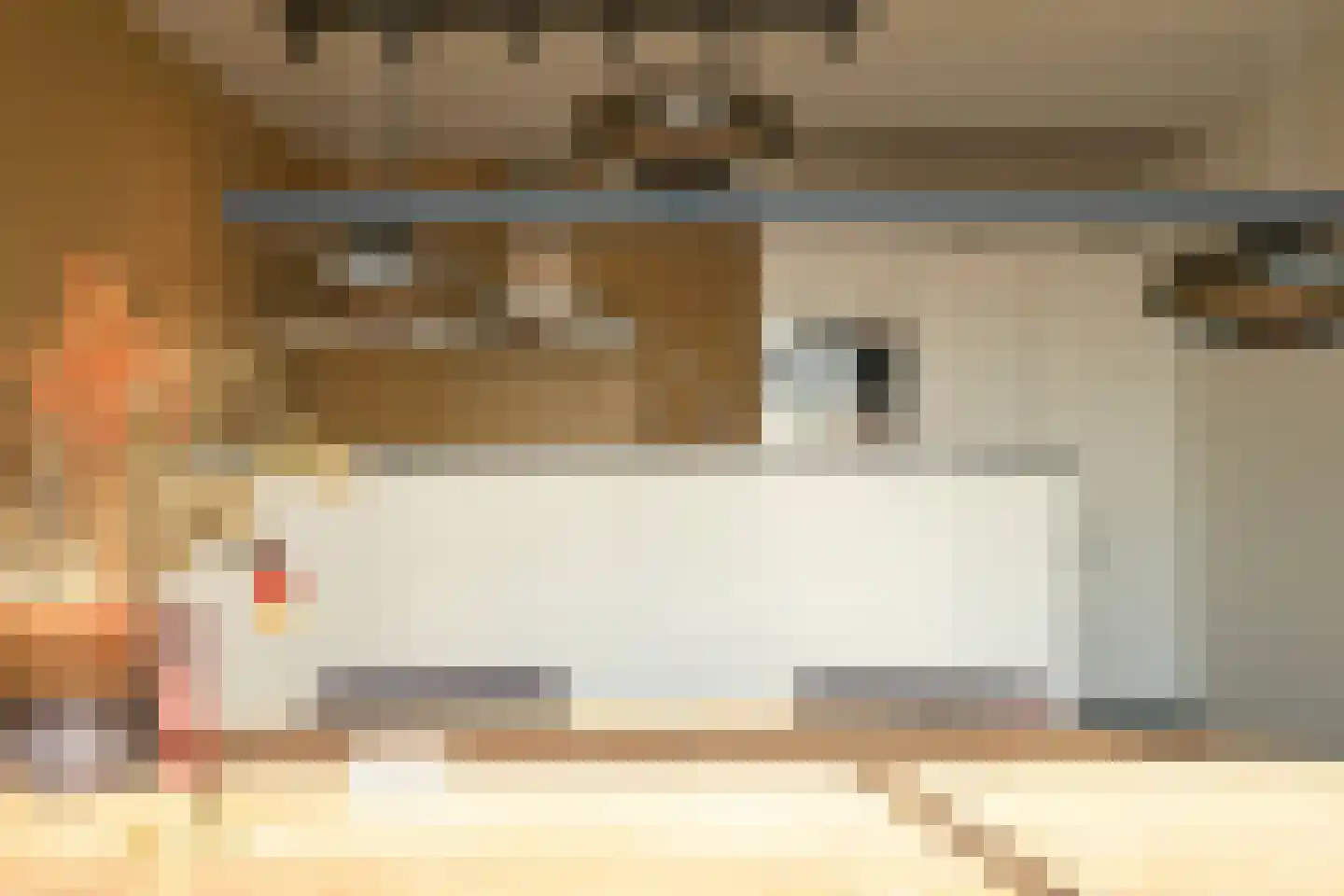 Nieuwe Parklaan 14 Den Haag thumbnail 33