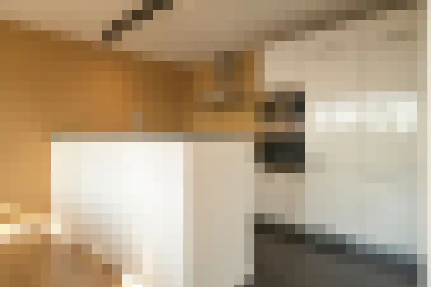 Nieuwe Parklaan 14 Den Haag thumbnail 34
