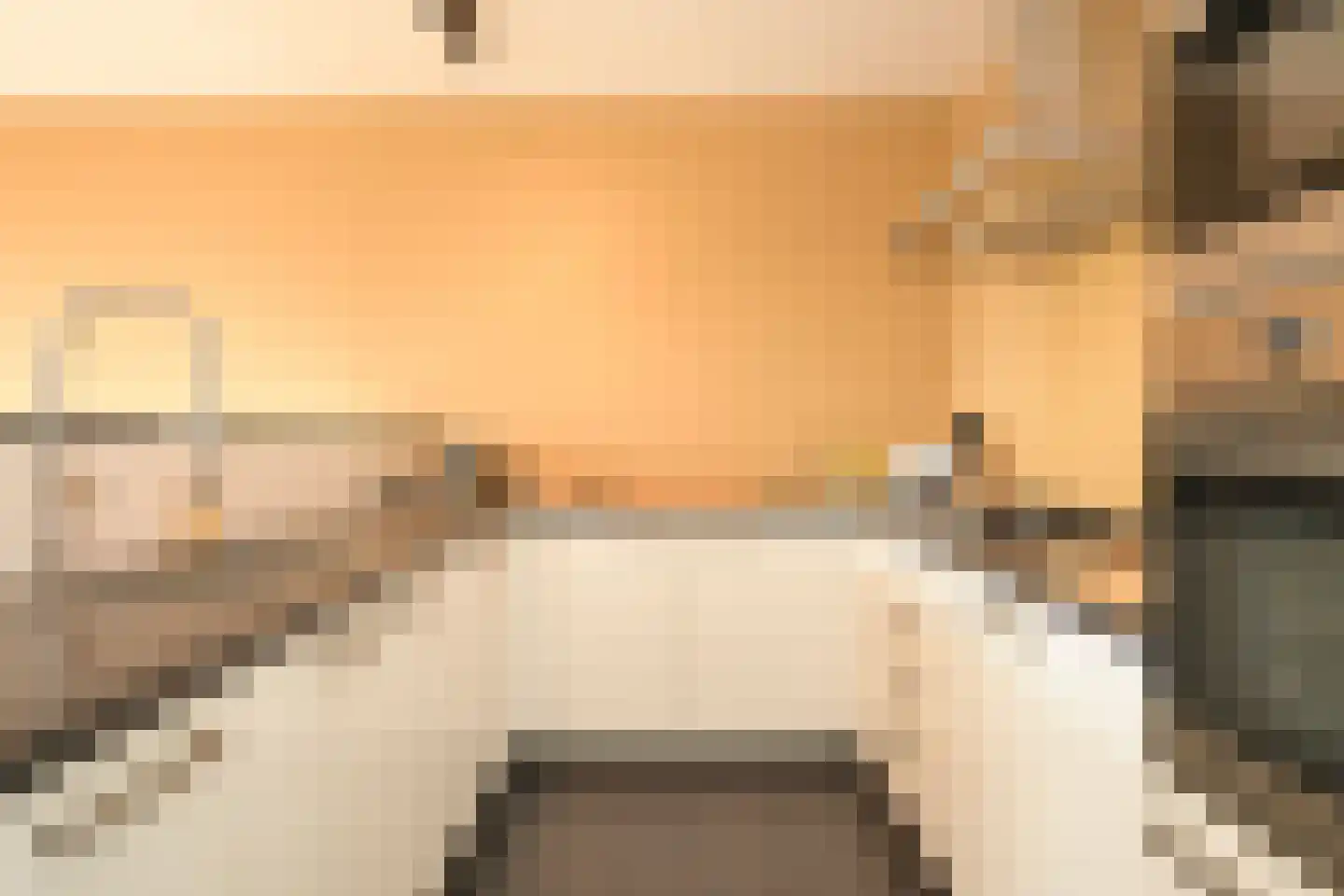 Nieuwe Parklaan 14 Den Haag thumbnail 35