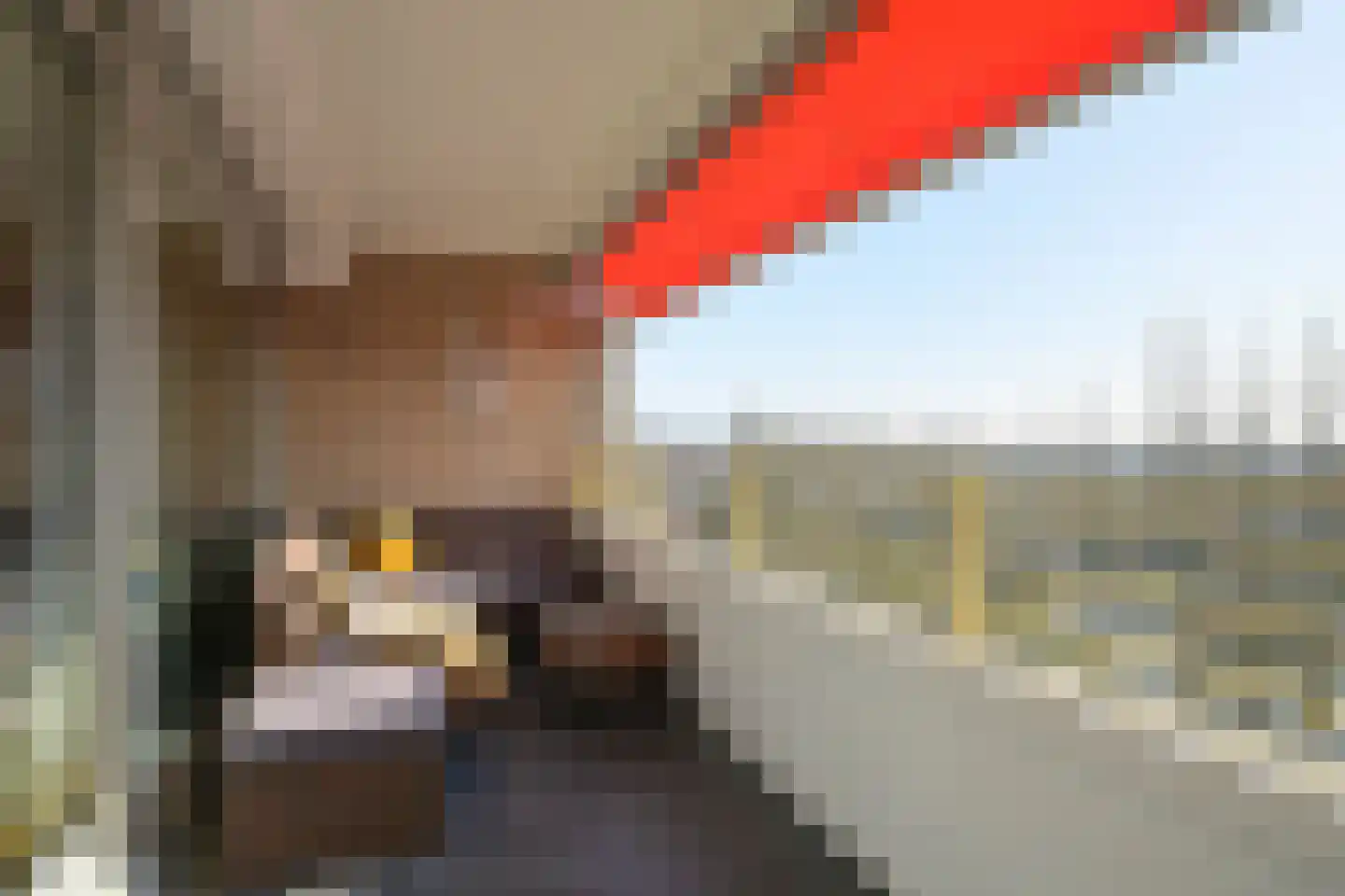 Nieuwe Parklaan 14 Den Haag thumbnail 39