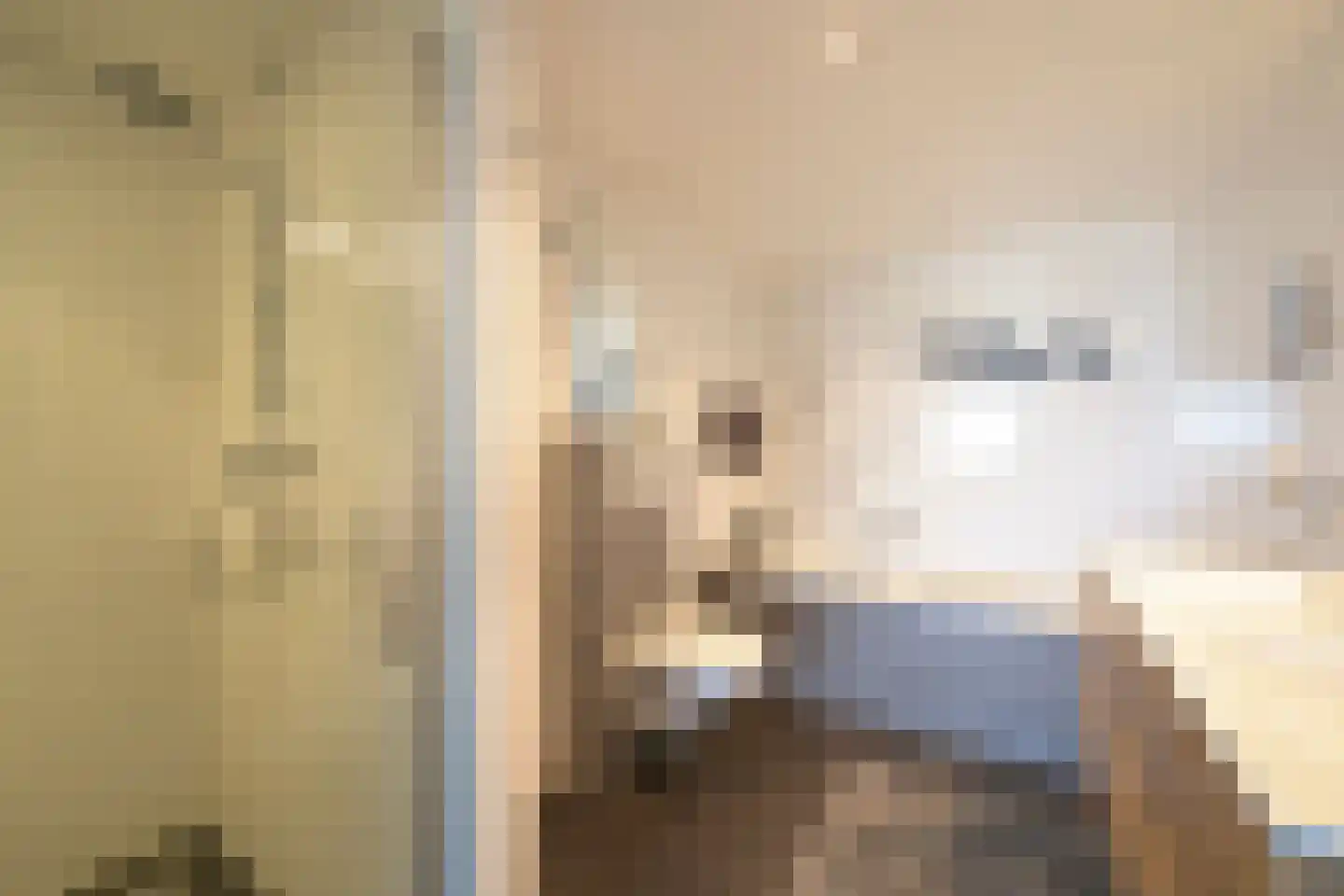 Nieuwe Parklaan 14 Den Haag thumbnail 4