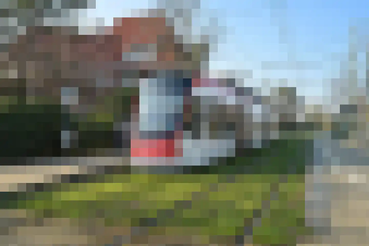 Nieuwe Parklaan 14 Den Haag thumbnail 55