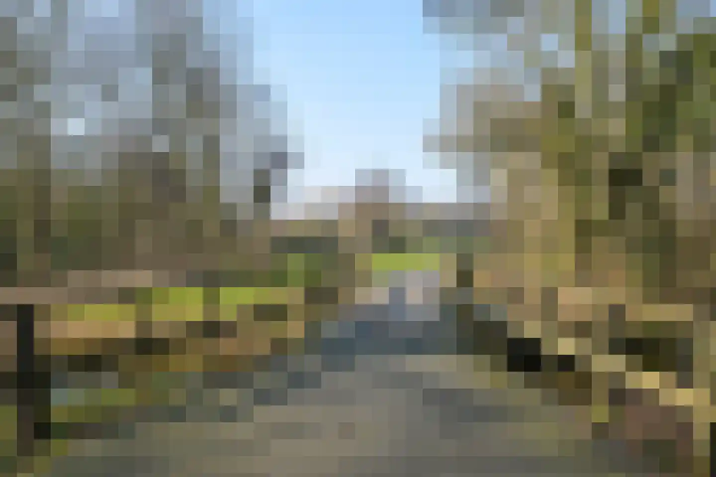 Nieuwe Parklaan 14 Den Haag thumbnail 57