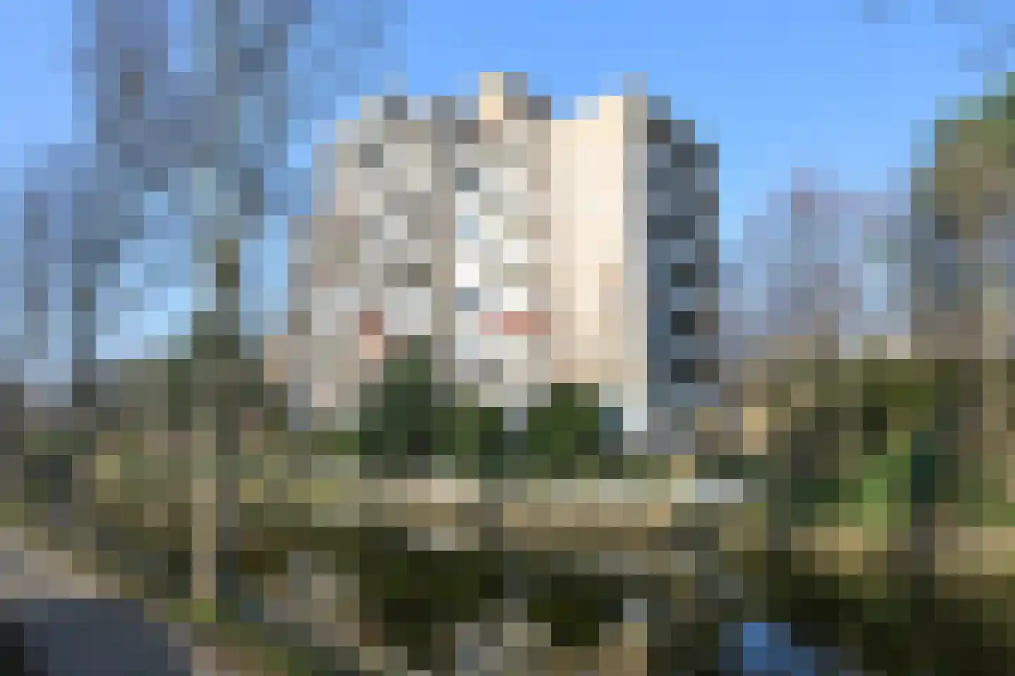 Nieuwe Parklaan 14 Den Haag thumbnail 7