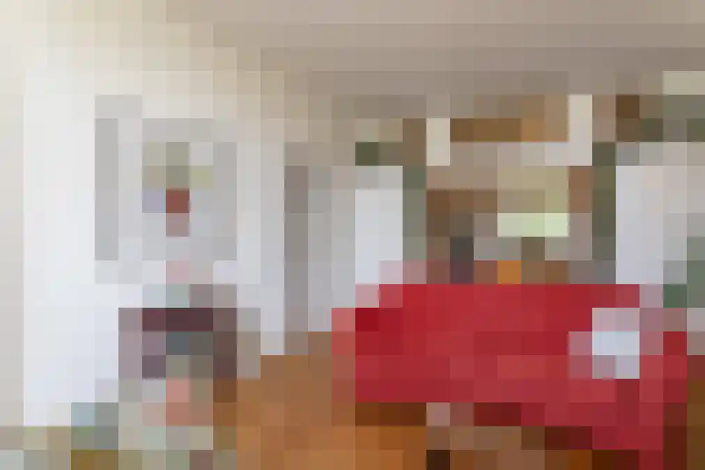Nieuwe Parklaan 147 Den Haag thumbnail 16