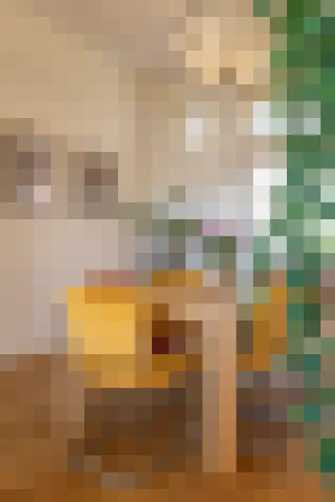 Nieuwe Parklaan 147 Den Haag thumbnail 19