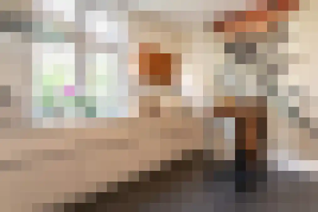 Nieuwe Parklaan 147 Den Haag thumbnail 36