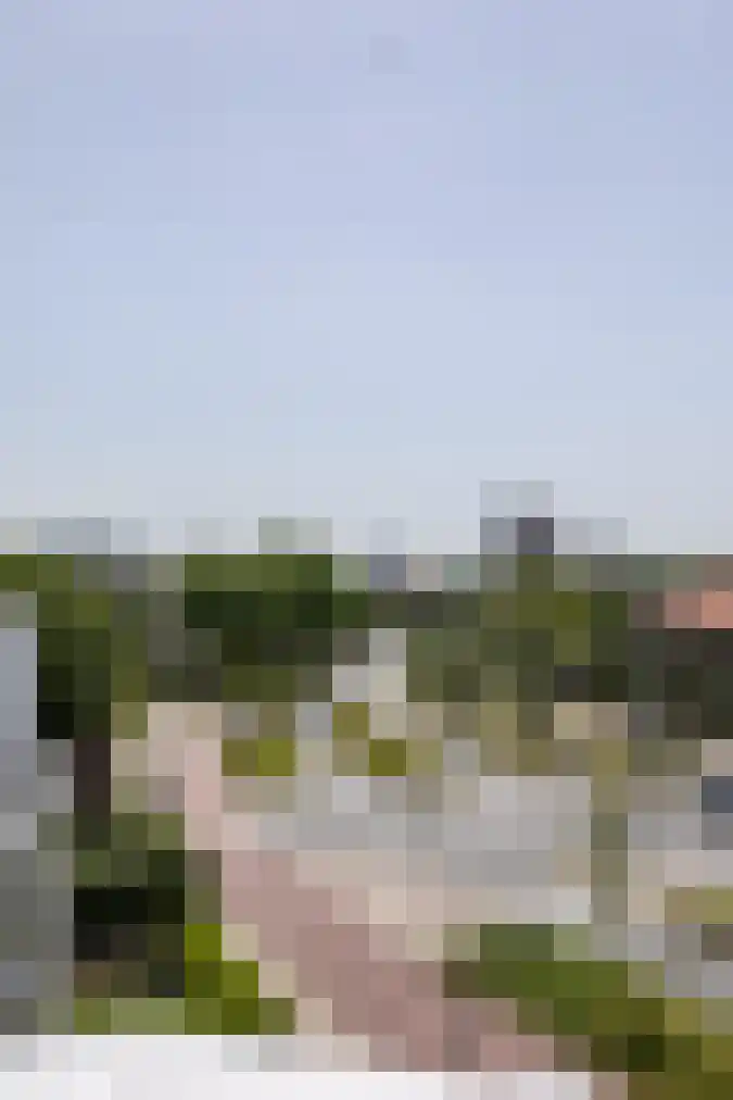 Nieuwe Parklaan 147 Den Haag thumbnail 46