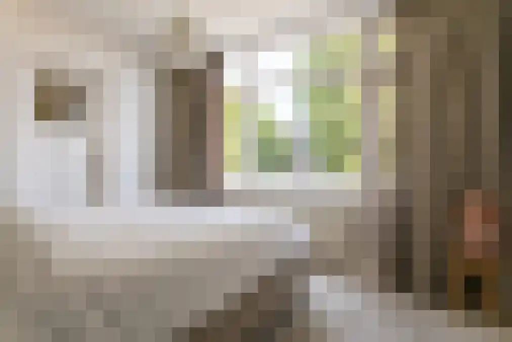 Nieuwe Parklaan 147 Den Haag thumbnail 50