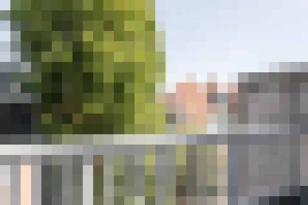 Nieuwe Parklaan 147 Den Haag thumbnail 53