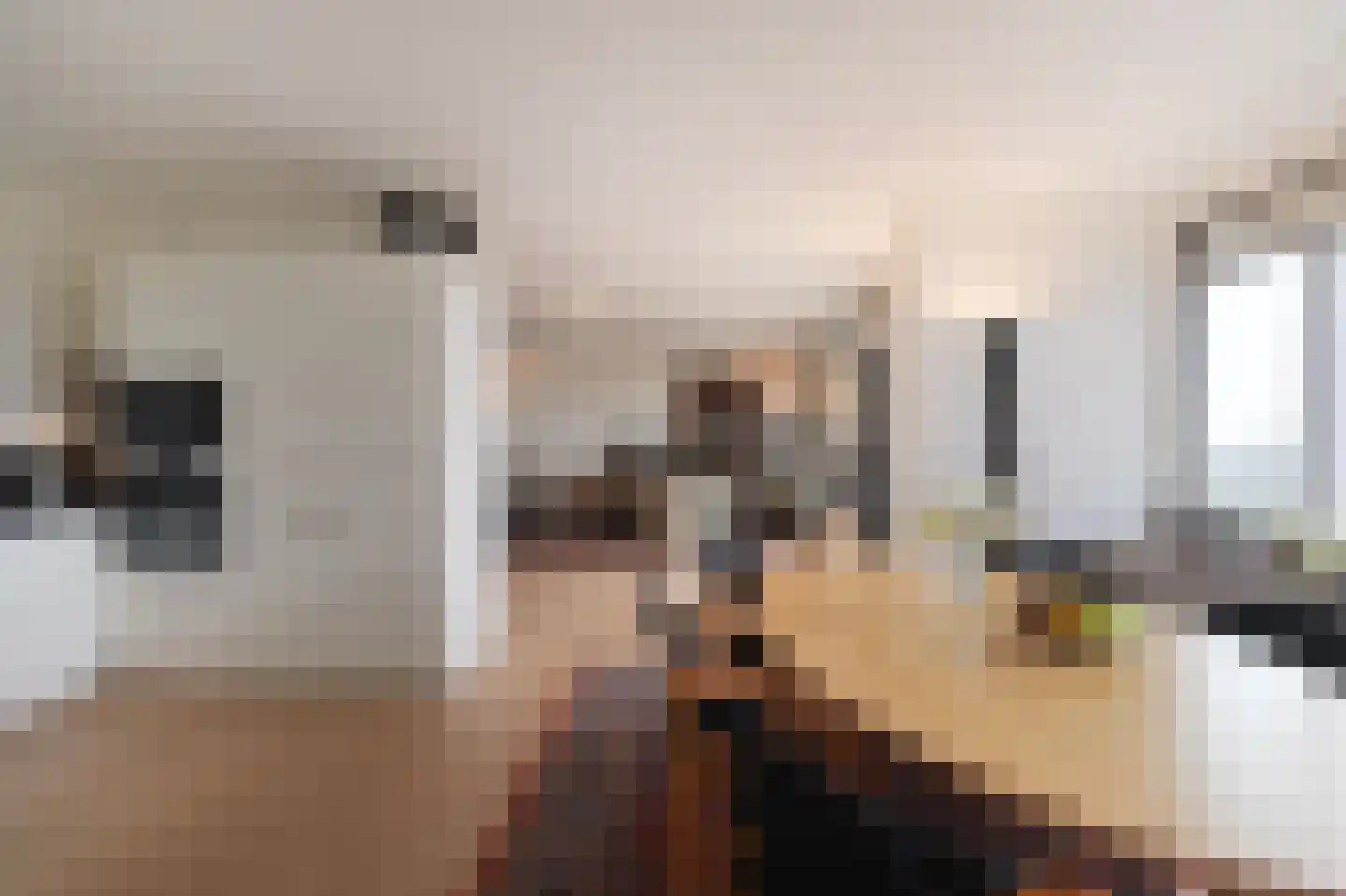 Nieuwe Parklaan 26 A Den Haag thumbnail 22