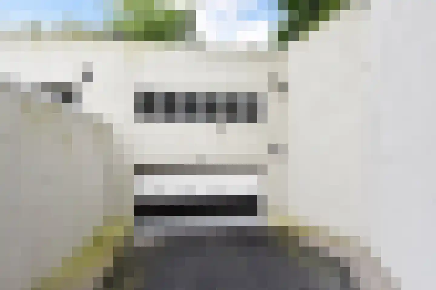 Nieuwe Parklaan 26 B Den Haag thumbnail 49