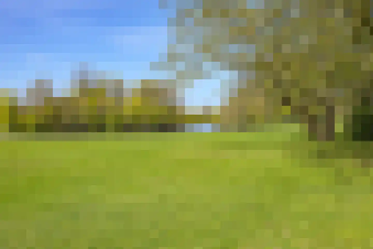 Nieuwe Parklaan 54 Den Haag thumbnail 102