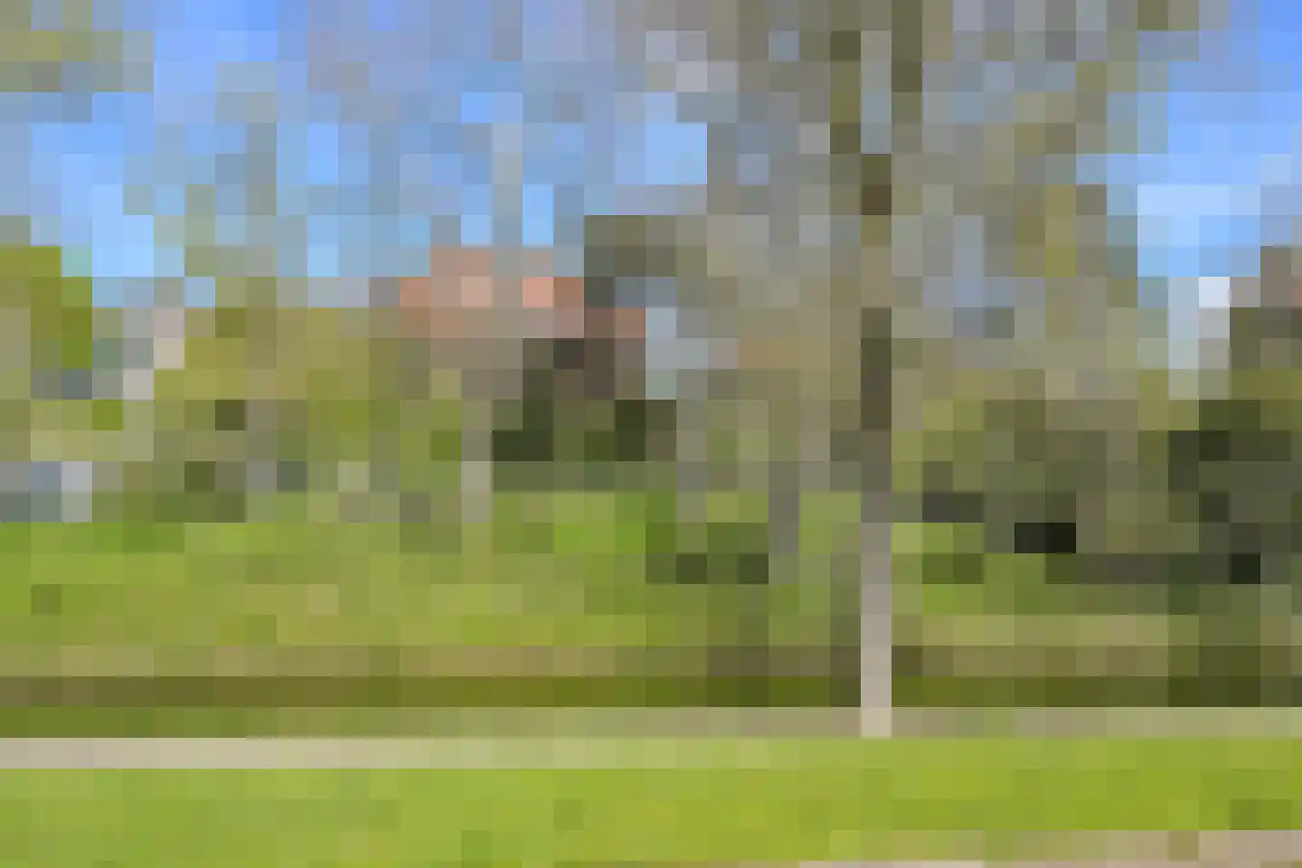Nieuwe Parklaan 54 Den Haag thumbnail 106