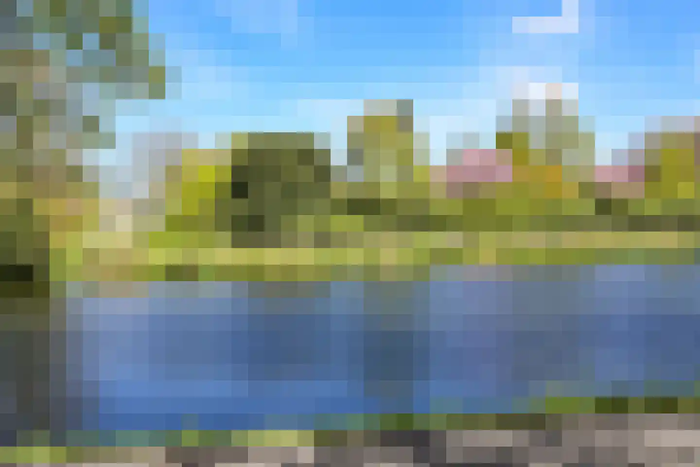 Nieuwe Parklaan 54 Den Haag thumbnail 108