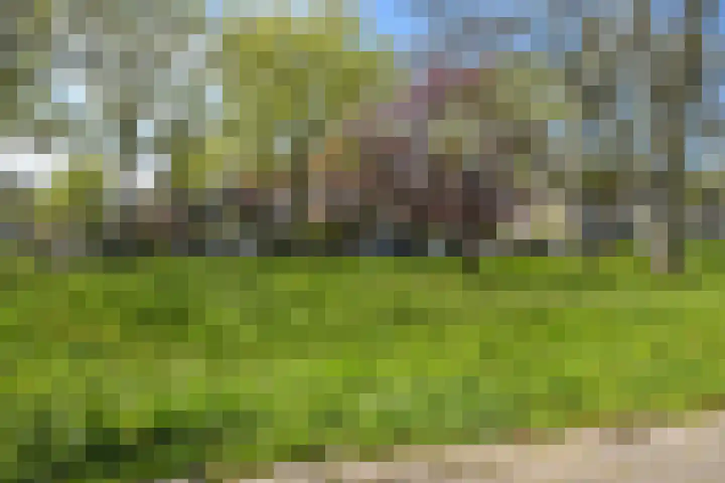 Nieuwe Parklaan 54 Den Haag thumbnail 110