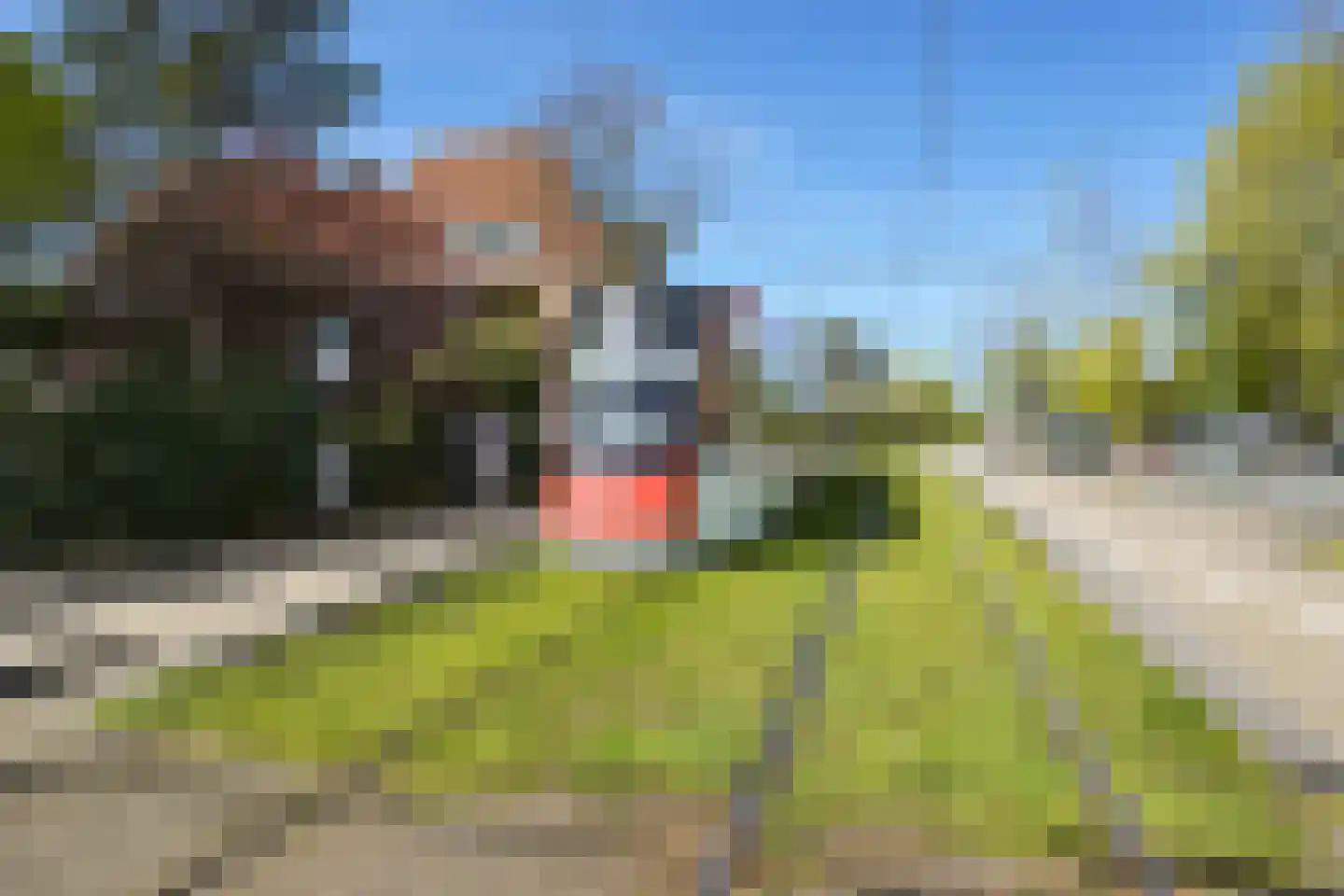 Nieuwe Parklaan 54 Den Haag thumbnail 111