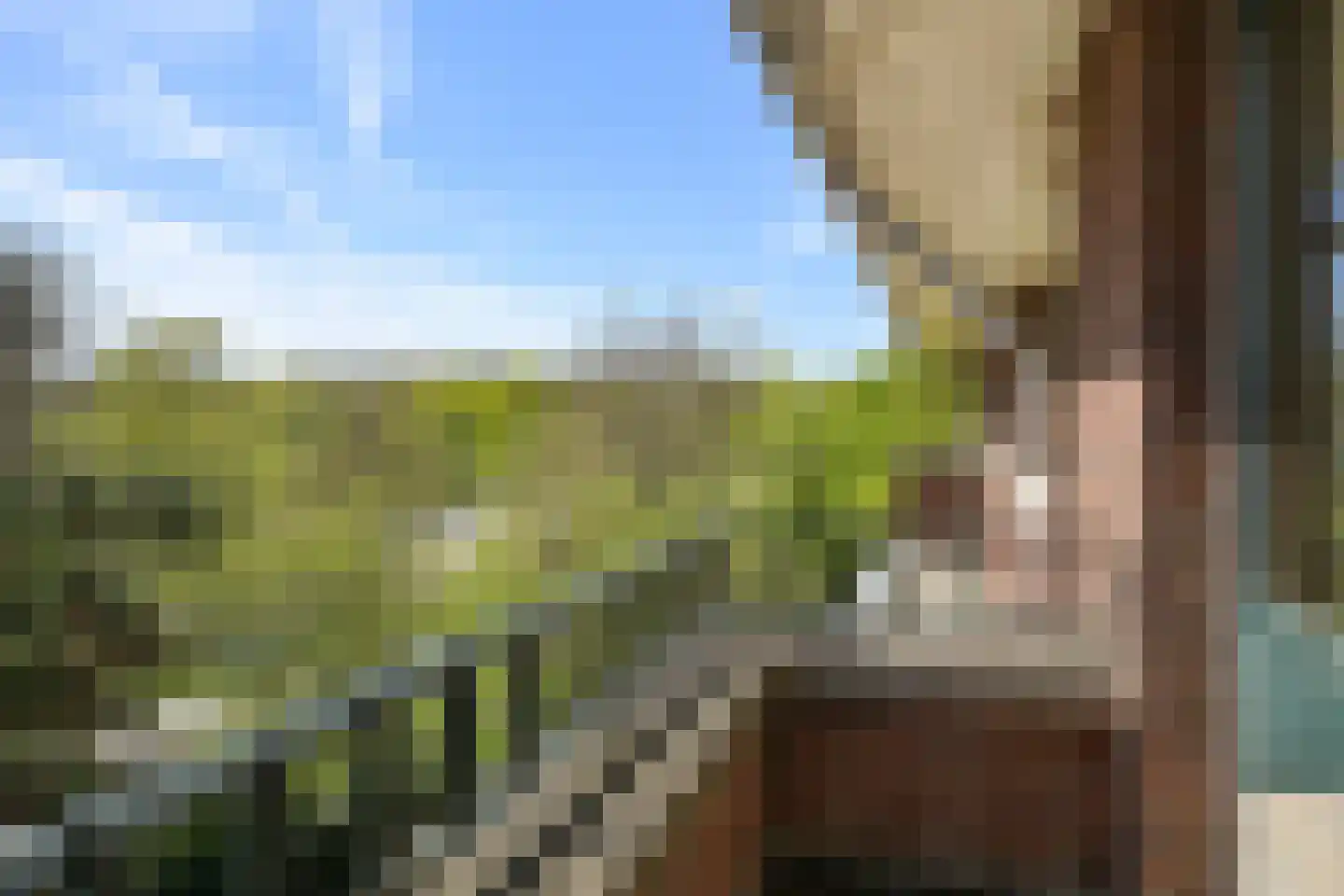 Nieuwe Parklaan 54 Den Haag thumbnail 48