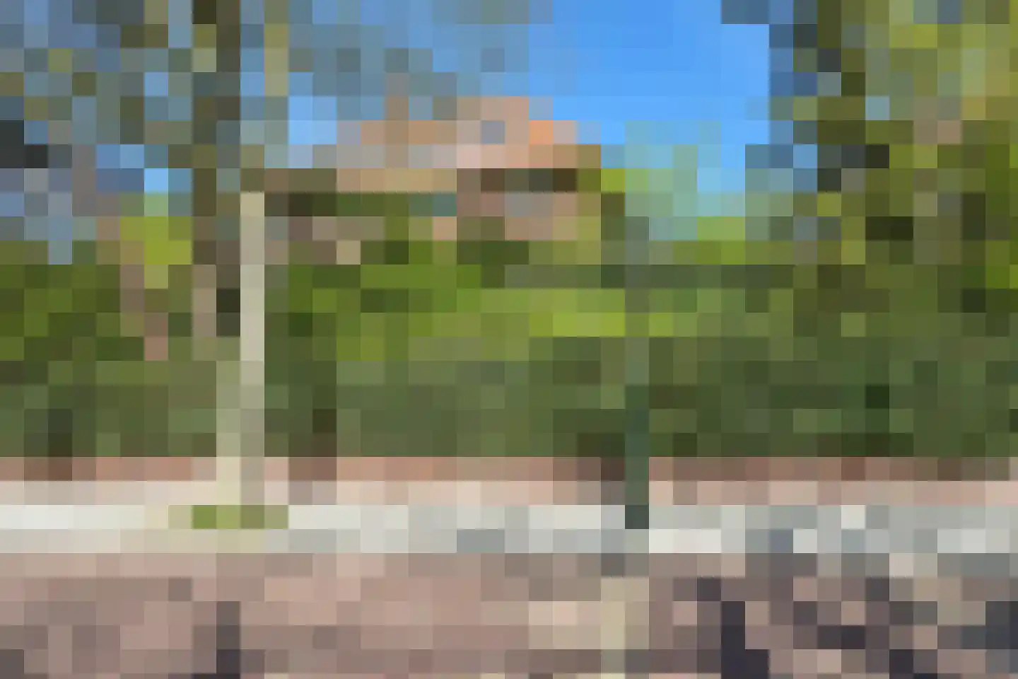 Nieuwe Parklaan 54 Den Haag thumbnail 82