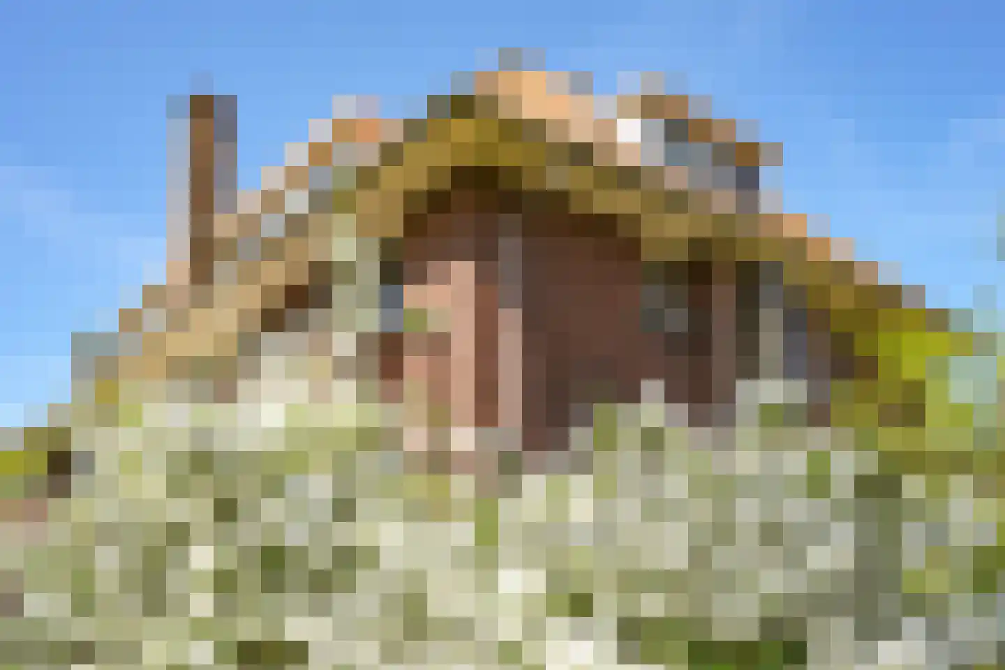 Nieuwe Parklaan 54 Den Haag thumbnail 86
