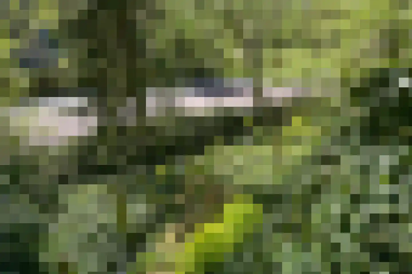 Nieuwe Parklaan 54 Den Haag thumbnail 87