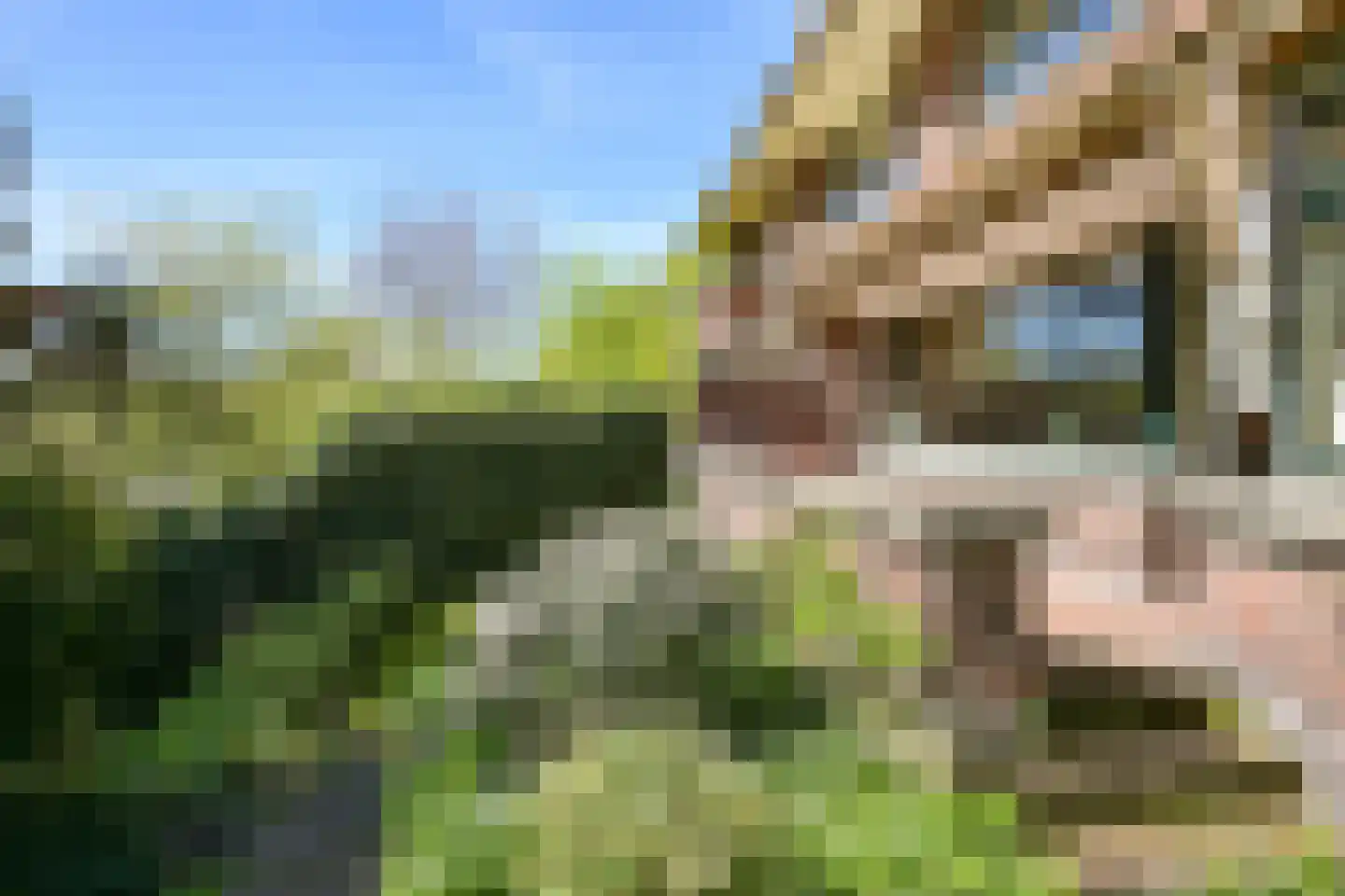 Nieuwe Parklaan 54 Den Haag thumbnail 93