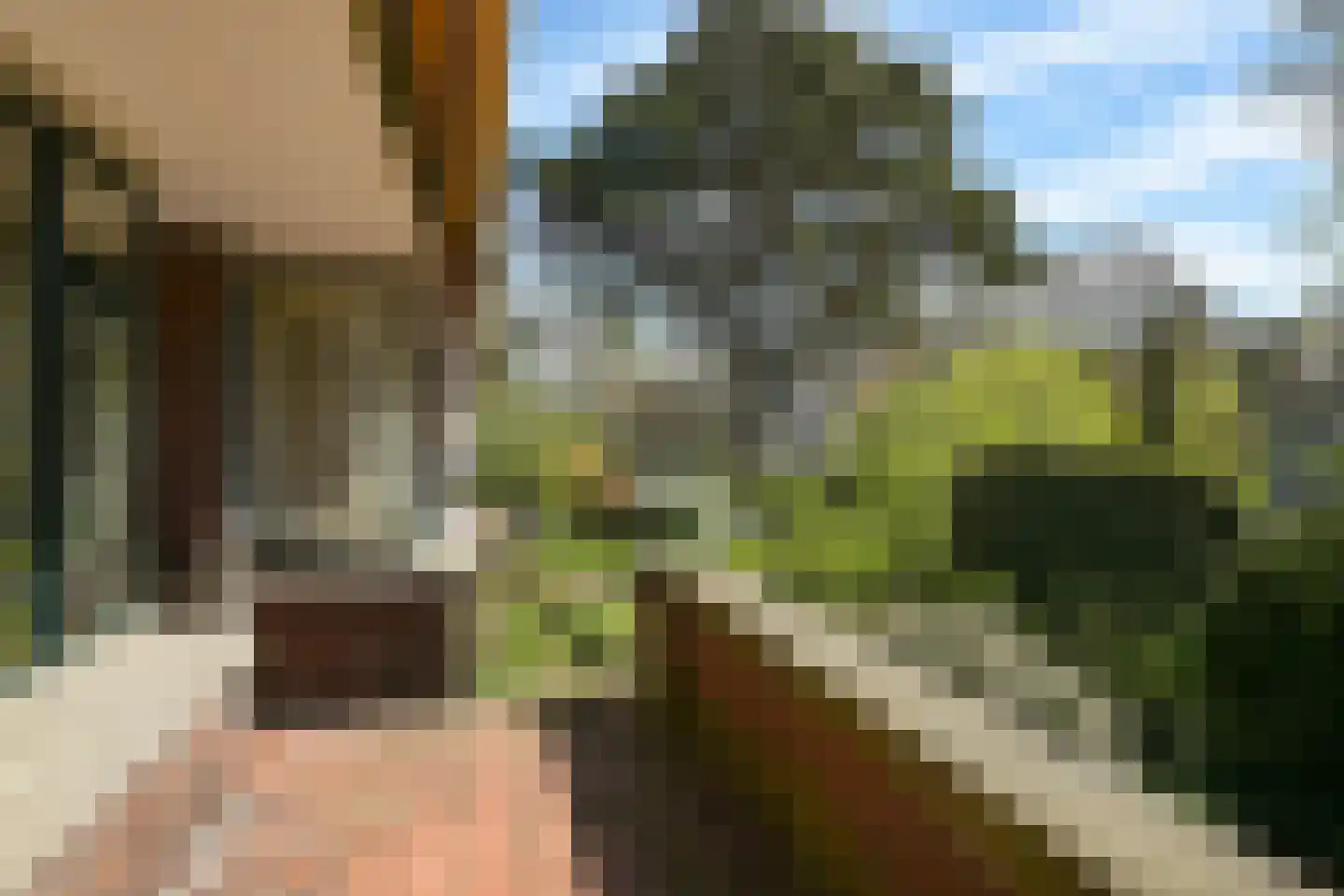 Nieuwe Parklaan 54 Den Haag thumbnail 94