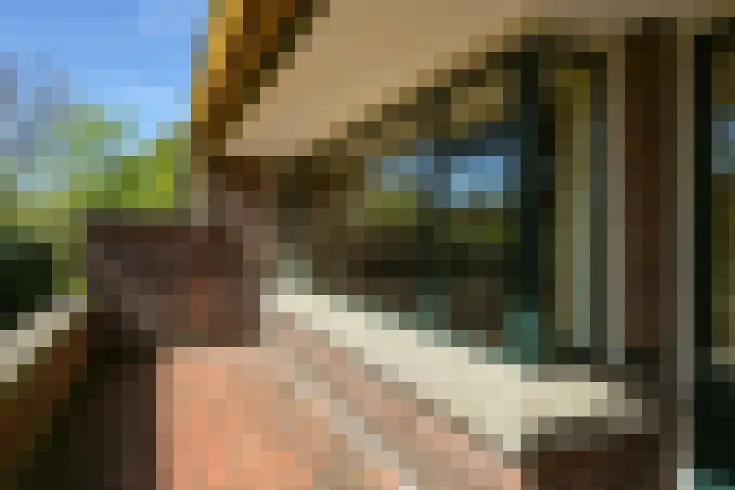 Nieuwe Parklaan 54 Den Haag thumbnail 95