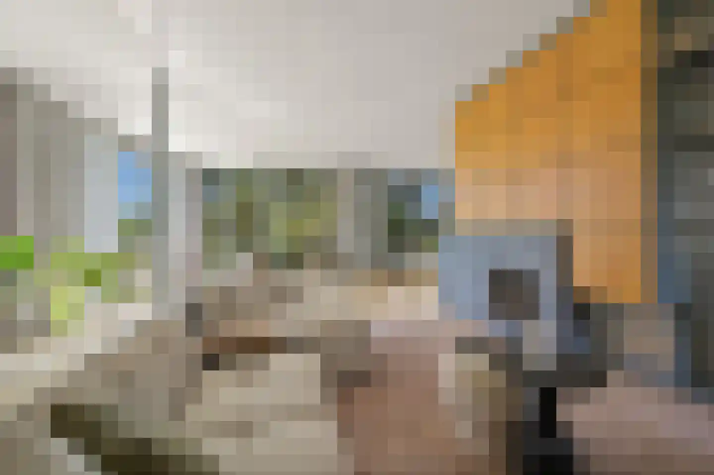 Nieuwe Parklaan 56 A Den Haag thumbnail 16