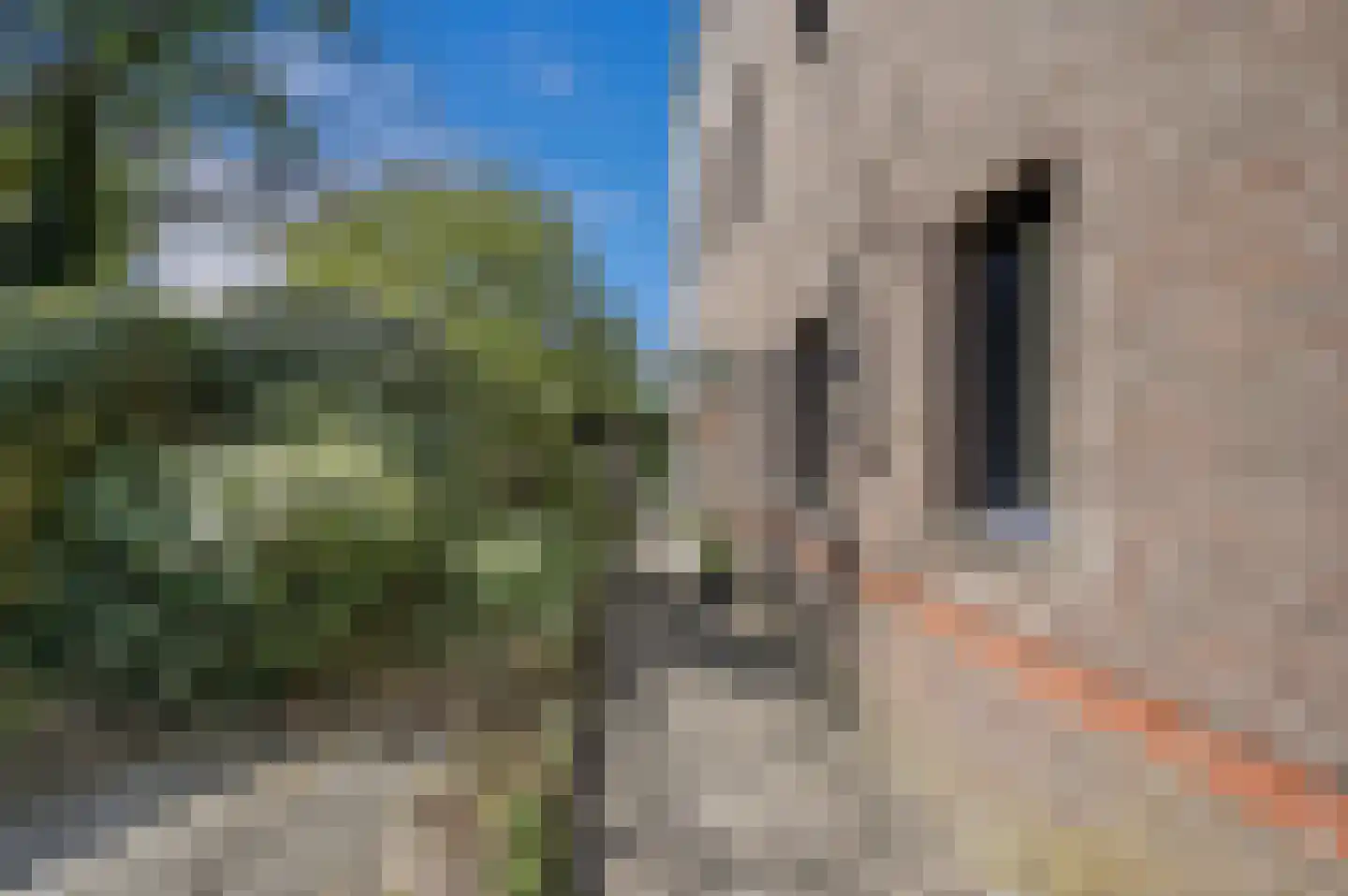 Nieuwe Parklaan 56 A Den Haag thumbnail 6