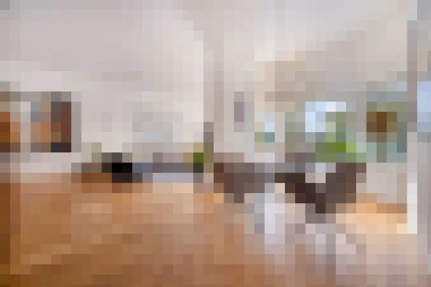 Nieuwe Parklaan 74 A Den Haag thumbnail 16
