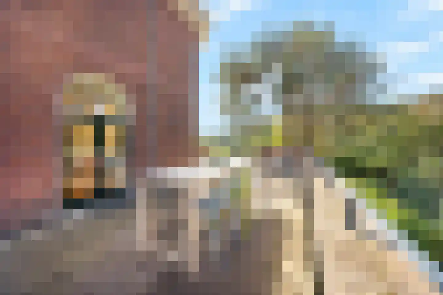 Nieuwe Parklaan 74 A Den Haag thumbnail 44