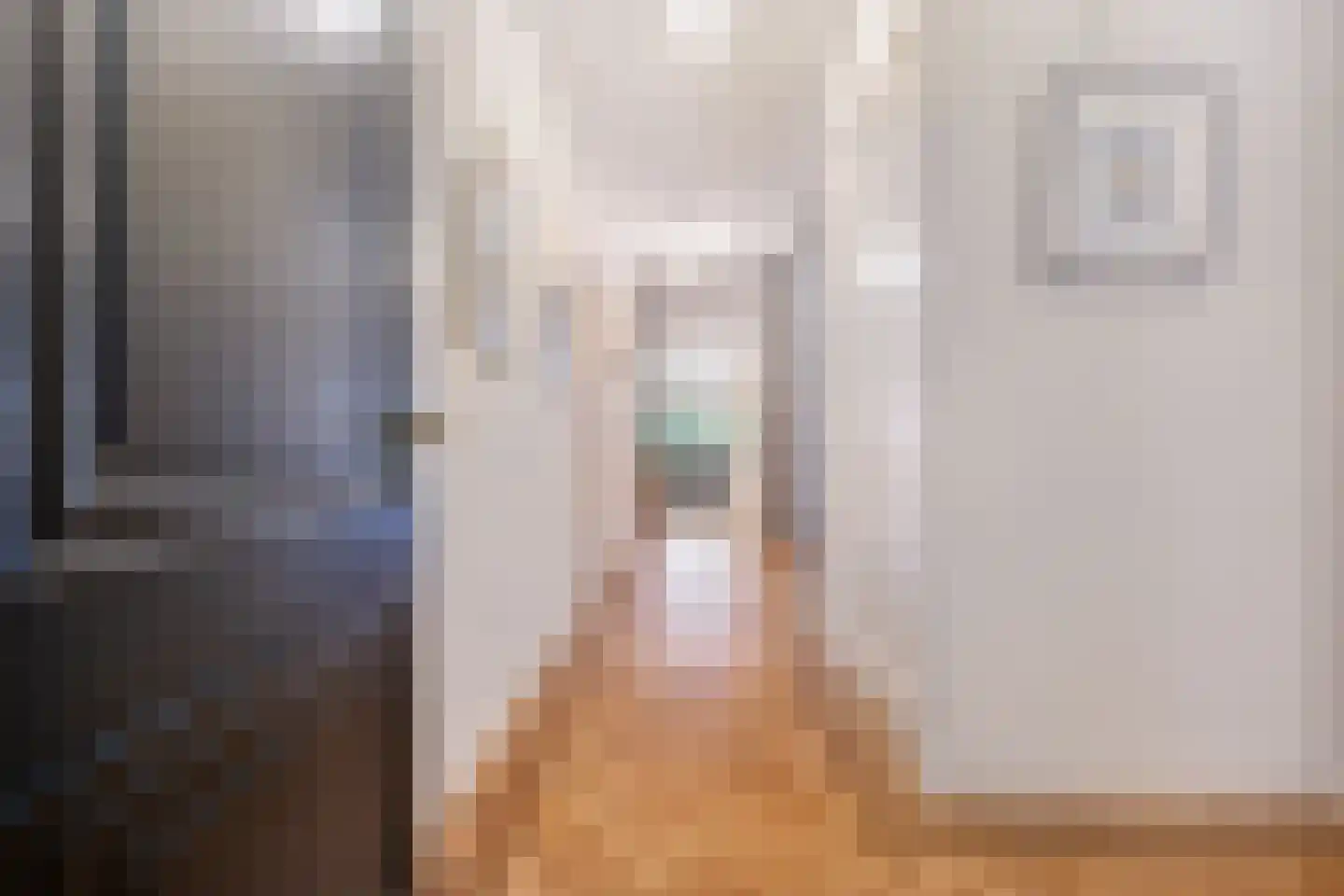 Nieuwe Parklaan 74 A Den Haag thumbnail 6