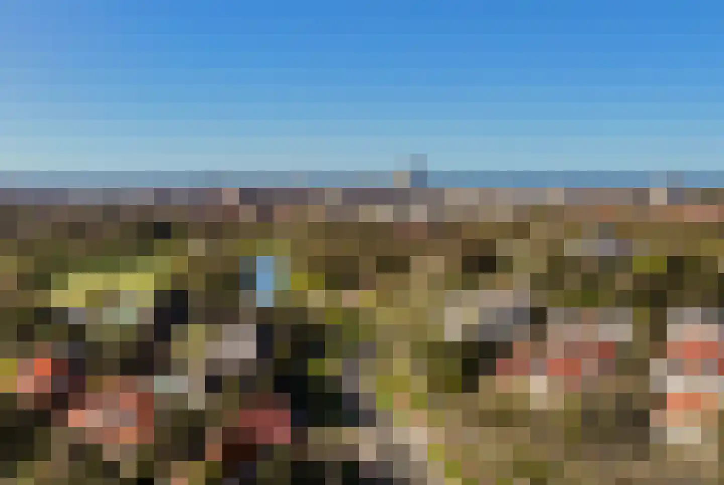 Nieuwe Parklaan 75 Den Haag thumbnail 100